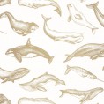 Papiers peints animaux
