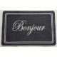 Tapis Grattant Intérieur Extérieur Lis Bonjour 40x60cm